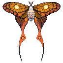 MothSolar