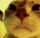 AS_8