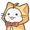 xMomoSurprise_in
