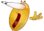 shock