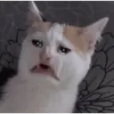 AHHHHH