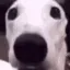 Scared