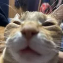 Buh