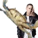 crab crab