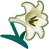 Lilly Discord emoji