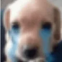 crygm