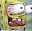 INSANE
