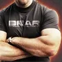 bearsilla