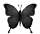 buttafly