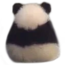 AngyPanda
