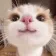 CatKindUwU