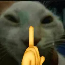 shdd shdd