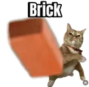 niceargument