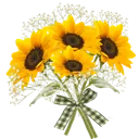 029_SunFlowers
