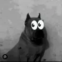 voidzoski