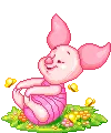 pigletrock29