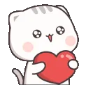 losocute95