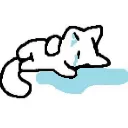 cat_sob
