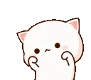 cutecat91