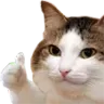 catthumbup