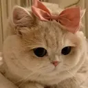 izzyfluffy
