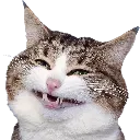 emoji_19