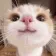 catkindface