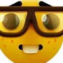 bignerd