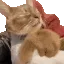skip skip