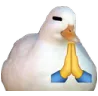 LAAGoosePray