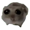 LAAHamsterSad LAAHamsterSad