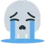 SkullCry