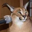 podcast podcast