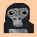 funnymonke