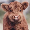 c7c252f79fe1a5854f1a4614d25b7d7d