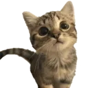 obraz_20250407_231125781