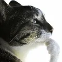 thinker_r