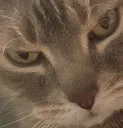 LolaMadge2 LolaMadge2