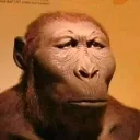 neanderthal
