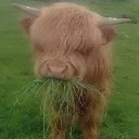 girlwithbangseatinggrass