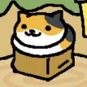 boxcat
