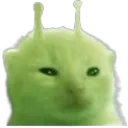 glorp glorp