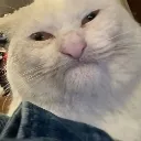 whatthesnarf