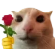 catRose