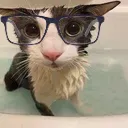 sog_nerdy