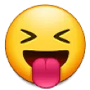 samslick