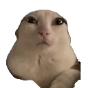 reginald