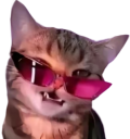 ccgg_vogue Discord emoji