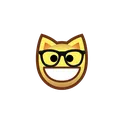 glasses