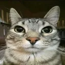 __